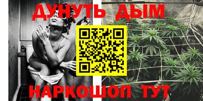 PSILOCYBIN Заводоуковск