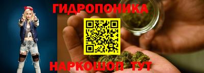 PSILOCYBIN Заводоуковск