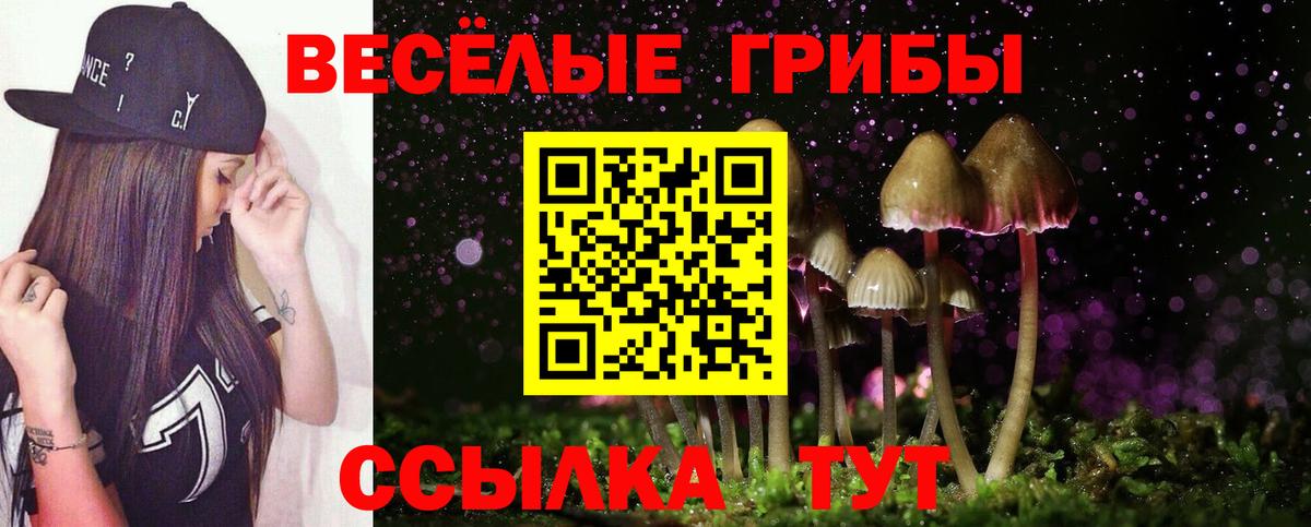 Псилоцибиновые грибы ЛСД Ливны